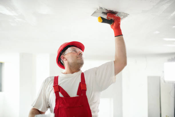 Professional Drywall & Painting Services in Wautoma, WI